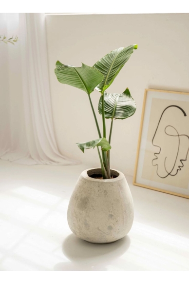 Maceta Ecocemento Clemen