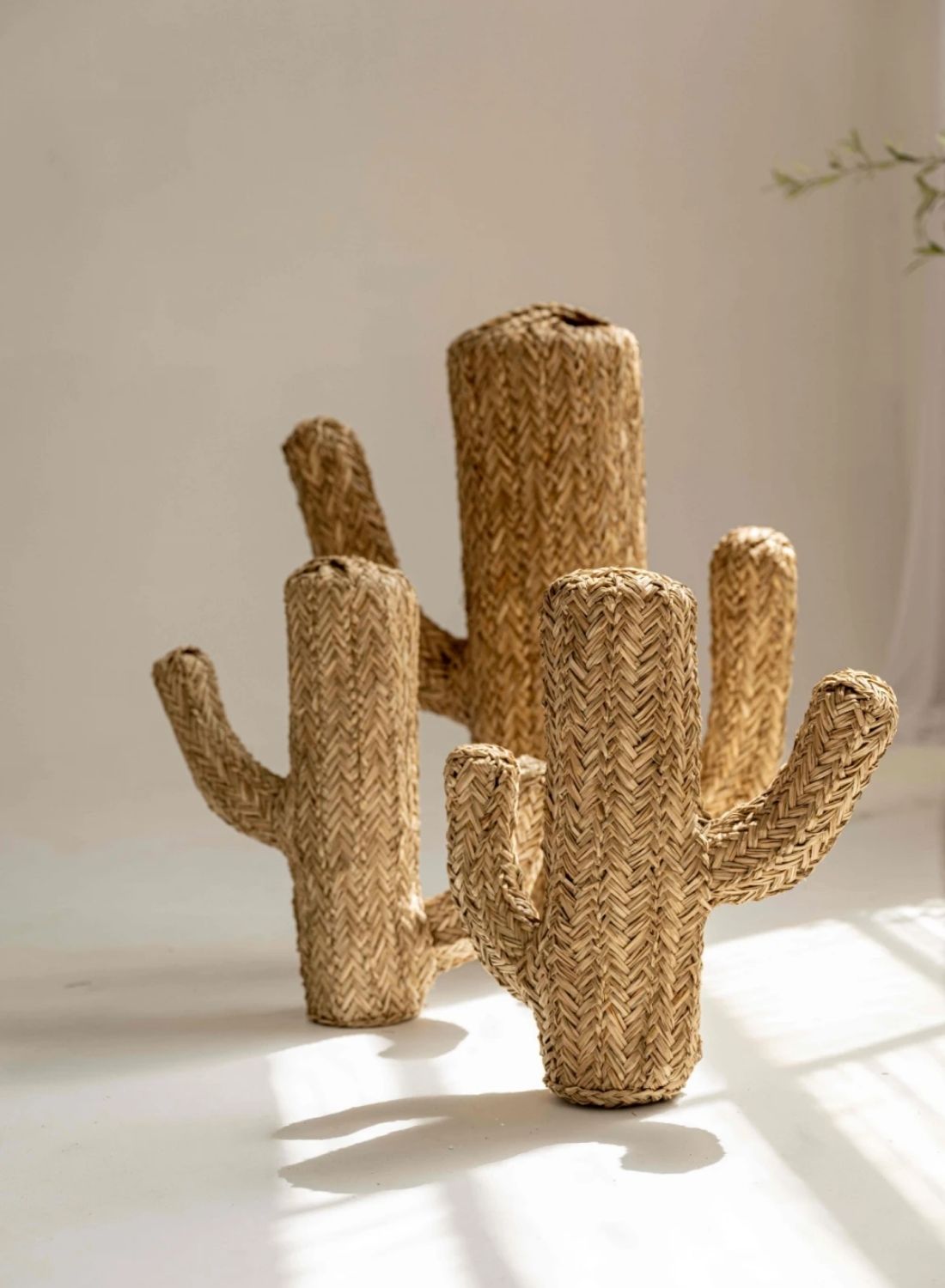 Cactus de fibra Grande