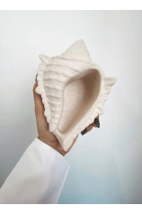 Caracol de cemento