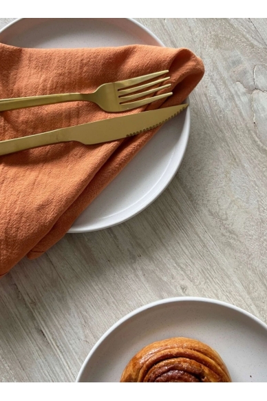 Set 4 Servilletas de Tussor Terracota